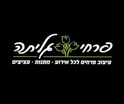זר טוליפים